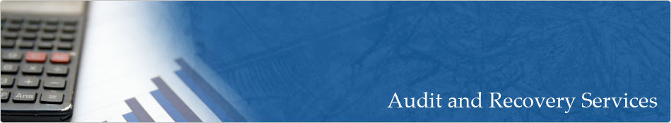 Audit and Recovery Services